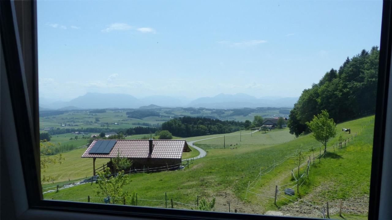 Ferienwohnung Steger Mattsee Exterior foto